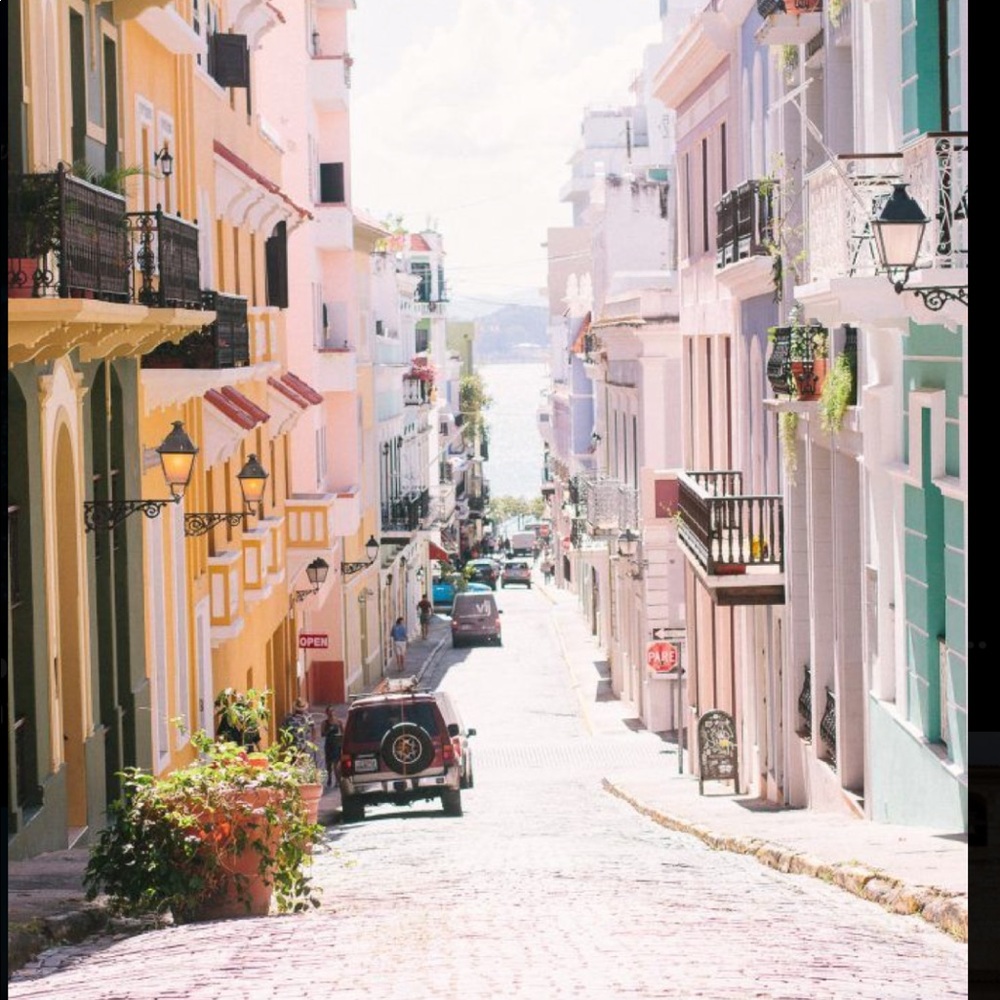 Meet your Posher, Sophia